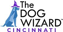 The Dog Wizard Cincinnati